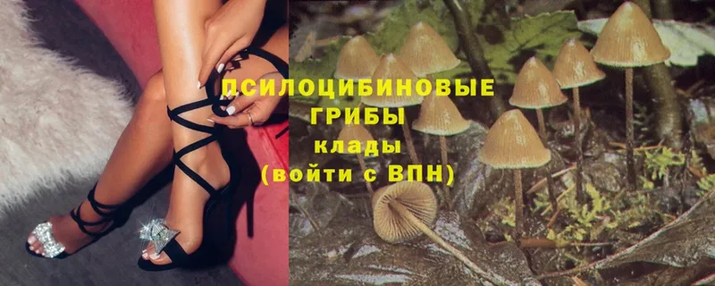 ссылка на мегу ССЫЛКА  что такое наркотик  Киренск  Галлюциногенные грибы MAGIC MUSHROOMS 